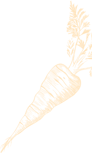 orange carrot icon