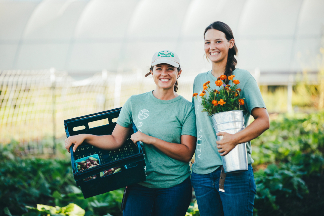 sunset farm in fulshear