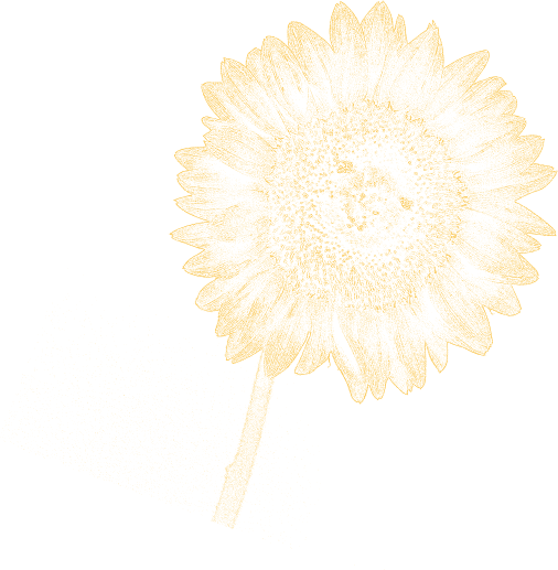 yellow flower icon