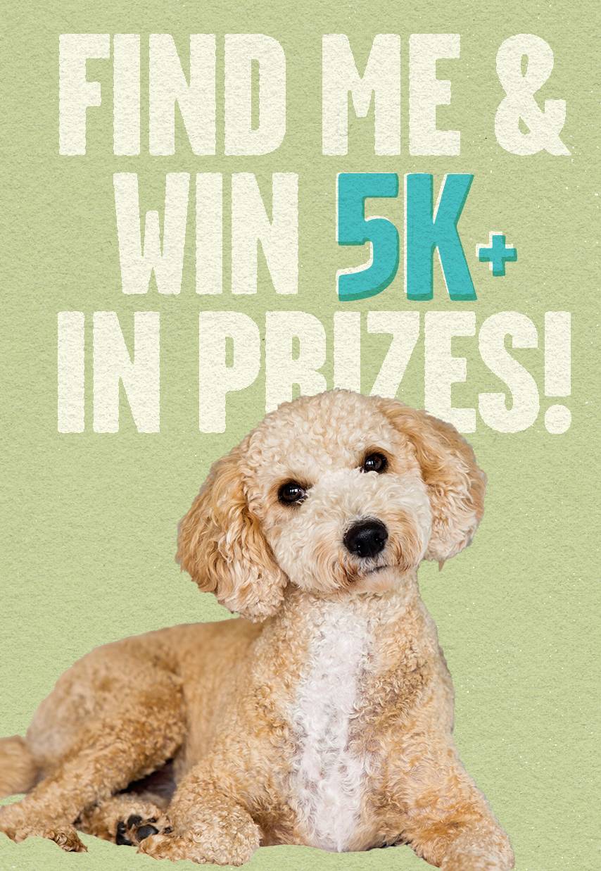 Find Me and Win 5k