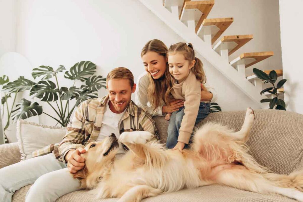 A family of three pets a large dog lying on a couch in a modern living room.