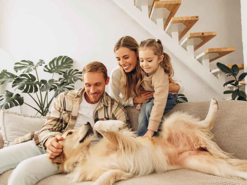 A family of three pets a large dog lying on a couch in a modern living room.